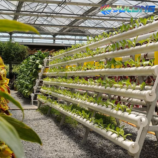 Serra in vetro per attrezzature agricole con telaio in acciaio zincato a caldo
